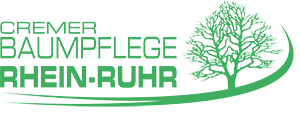 Baumpflege Rhein-Ruhr